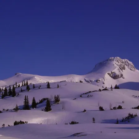 Bed & Breakfast Prem