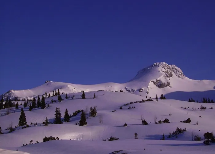 Alojamento de Acomodação e Pequeno-almoço Prem
